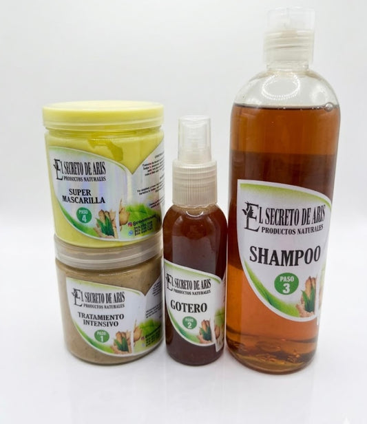 El secreto de aris linea pequeña